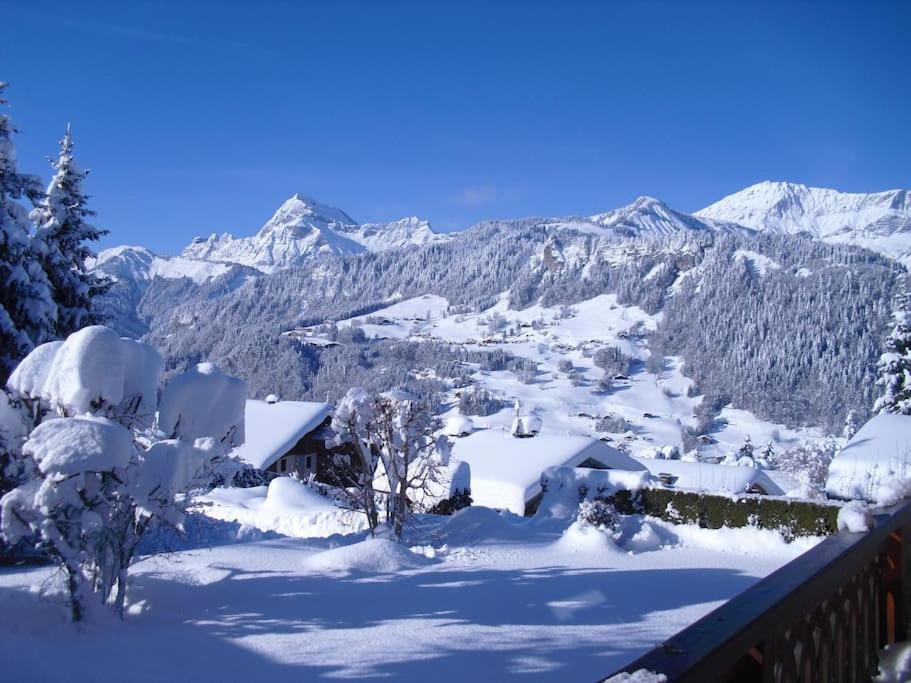 Chalet La Licorne 1 - Pied Des Pistes Notre-Dame-de-Bellecombe Εξωτερικό φωτογραφία