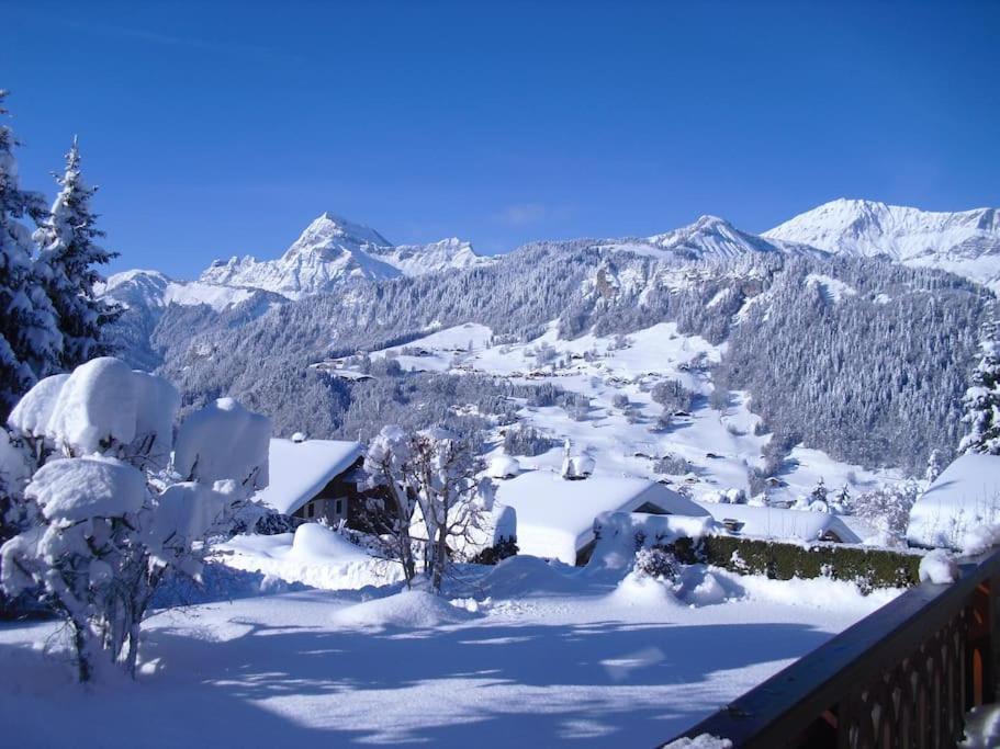 Chalet La Licorne 1 - Pied Des Pistes Βίλα Notre-Dame-de-Bellecombe Εξωτερικό φωτογραφία