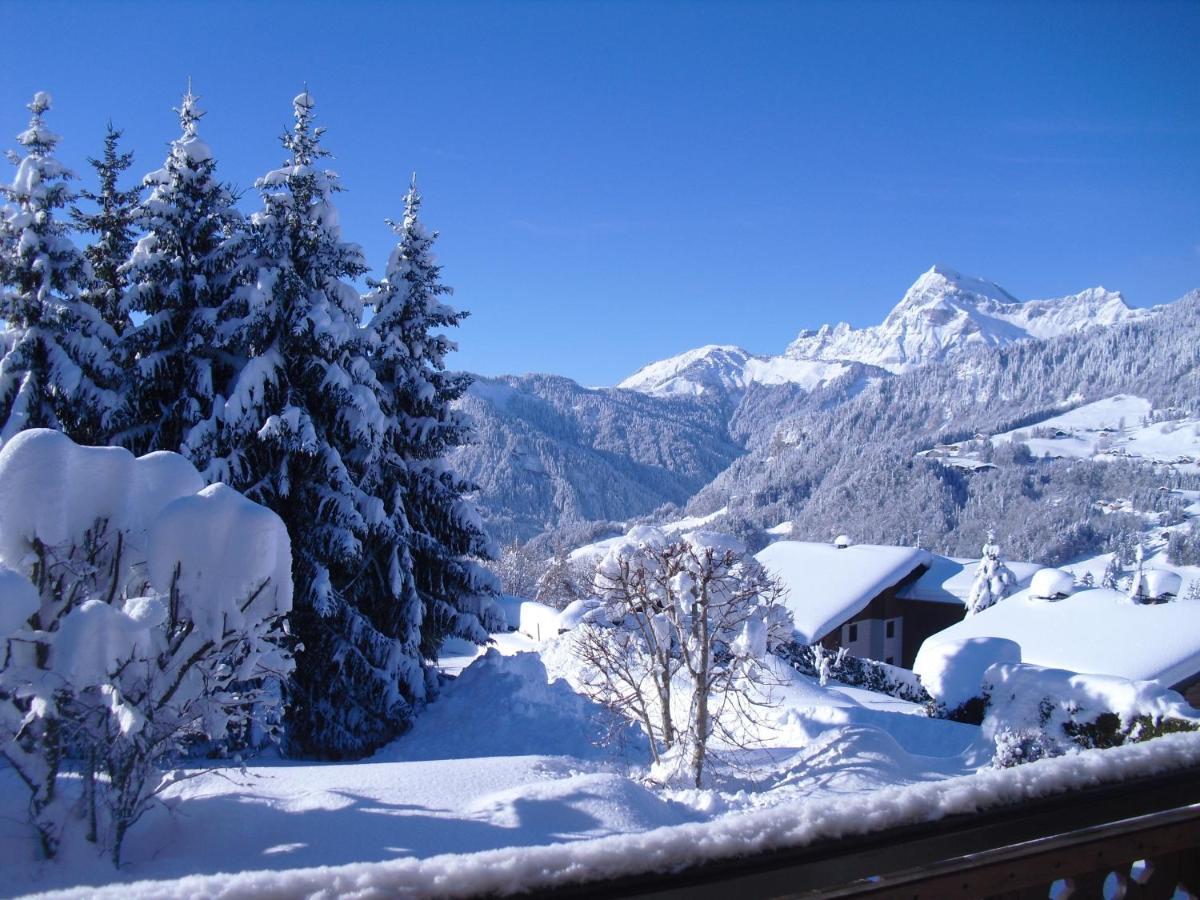 Chalet La Licorne 1 - Pied Des Pistes Notre-Dame-de-Bellecombe Εξωτερικό φωτογραφία